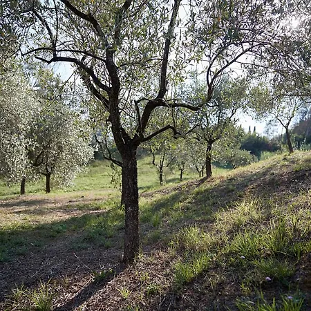 Pacini - Just 1,8 Km Outside - Pool *